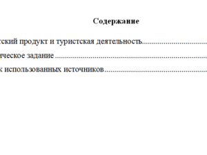Технология производства туристического продукта. Вариант 2. НГУЭУ.