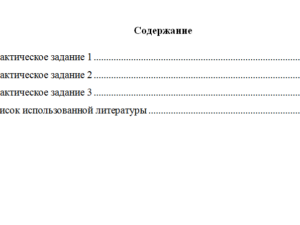 Основы деятельности современной организации. Вариант 5. НГУЭУ.