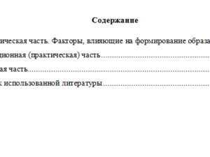 Брендбилдинг. Вариант 10. НГУЭУ.