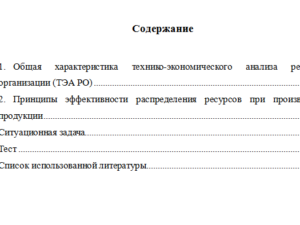 Технико-экономический анализ ресурсов организации. Вариант 1. НГУЭУ.