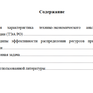 Технико-экономический анализ ресурсов организации. Вариант 1. НГУЭУ.