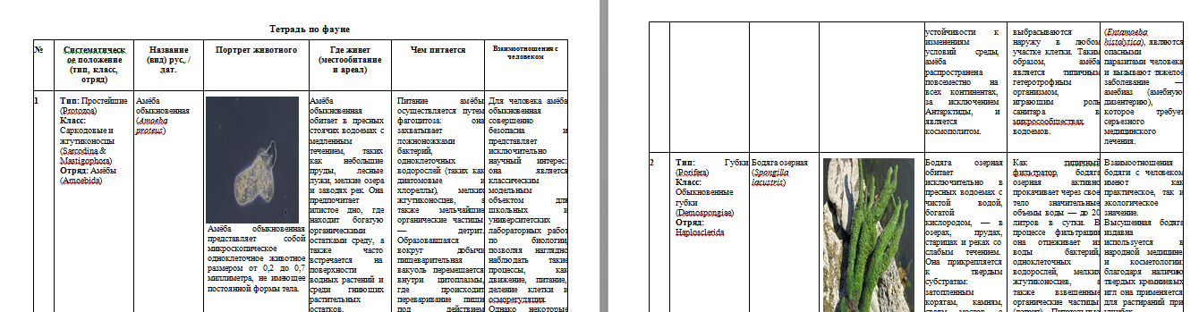 Тетрадь по фауне. НГПУ. — изображение 3