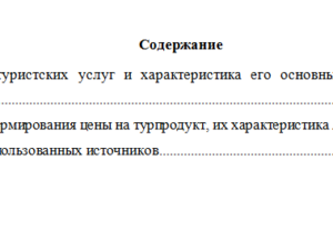 Организация туристической деятельности. Вариант 2. НГУЭУ.