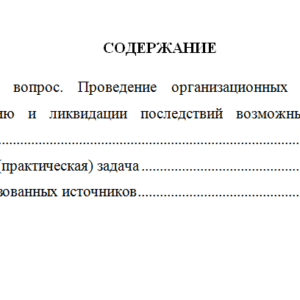 Особенности осуществления административной деятельности полиции в особых условиях. Вариант 2. НГУЭУ.